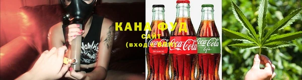 прущие грибы Аркадак