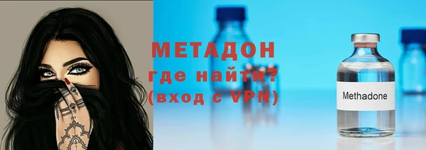 прущие грибы Аркадак