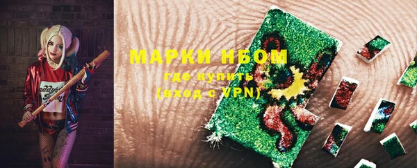 прущие грибы Аркадак