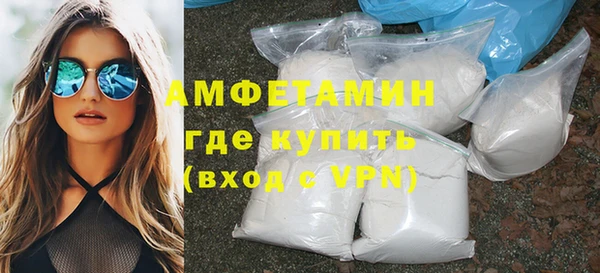 прущие грибы Аркадак