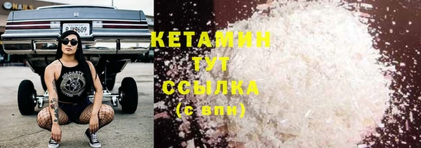 прущие грибы Аркадак