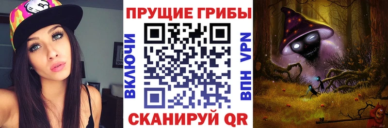 Псилоцибиновые грибы Psilocybe  сайты даркнета состав  Кологрив 